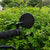 Handlebar Mirror
