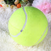 Giant Ball