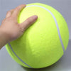 Giant Ball