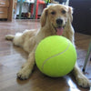 Giant Ball